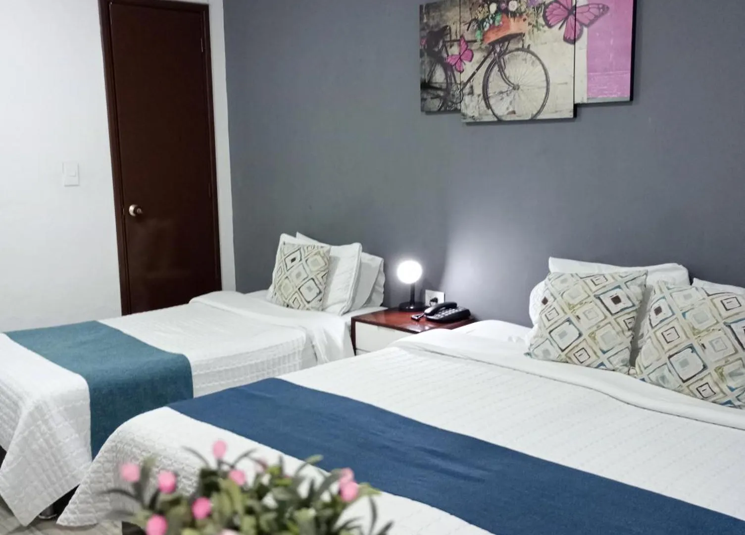 **  Hotel Maceo 55 - Colonial Inn Bogota Colombia